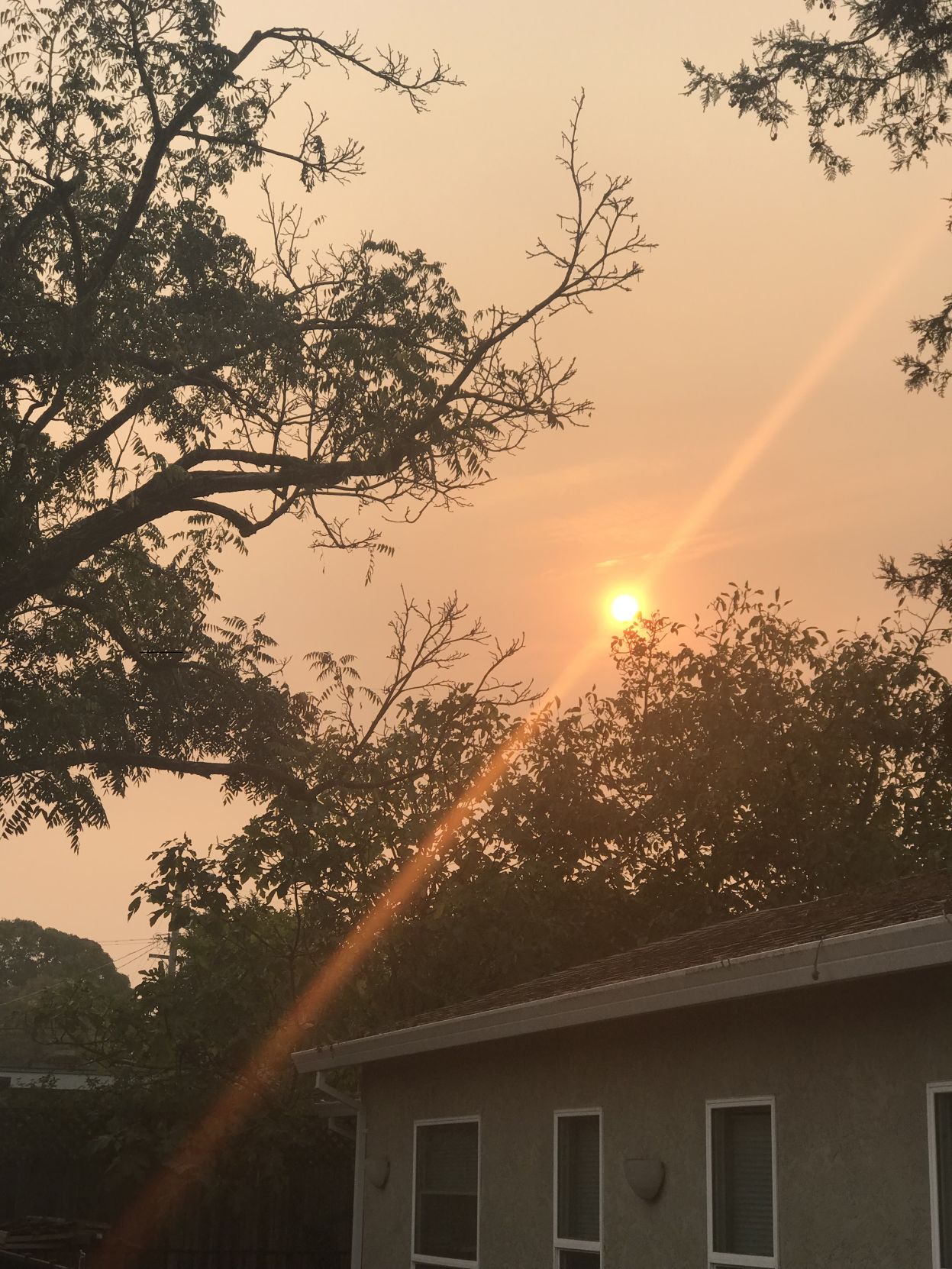 Napa County wildfires